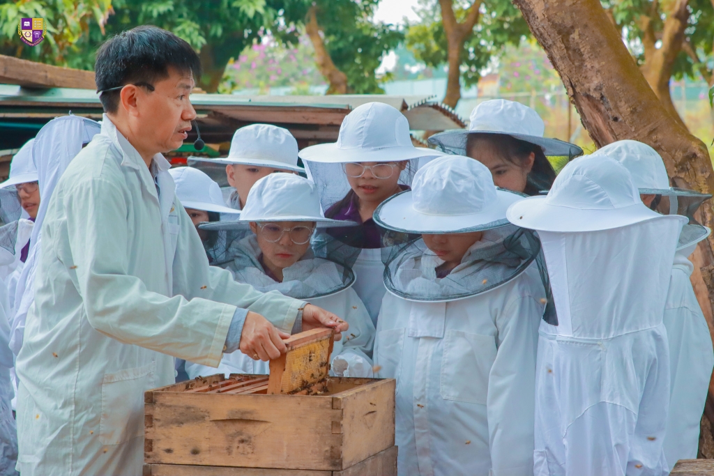 Trường Tiểu học, Trung học cơ sở Kinh Đô – Đông Anh
